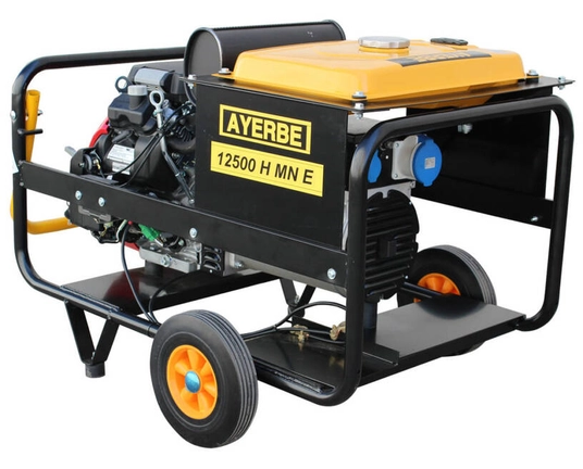 Generatorius AYERBE – 12500 MN AVR E